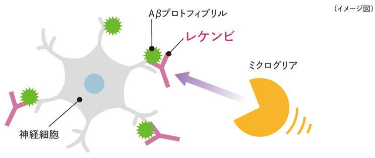 「レケンビってどんな薬ですか？」イメージ図